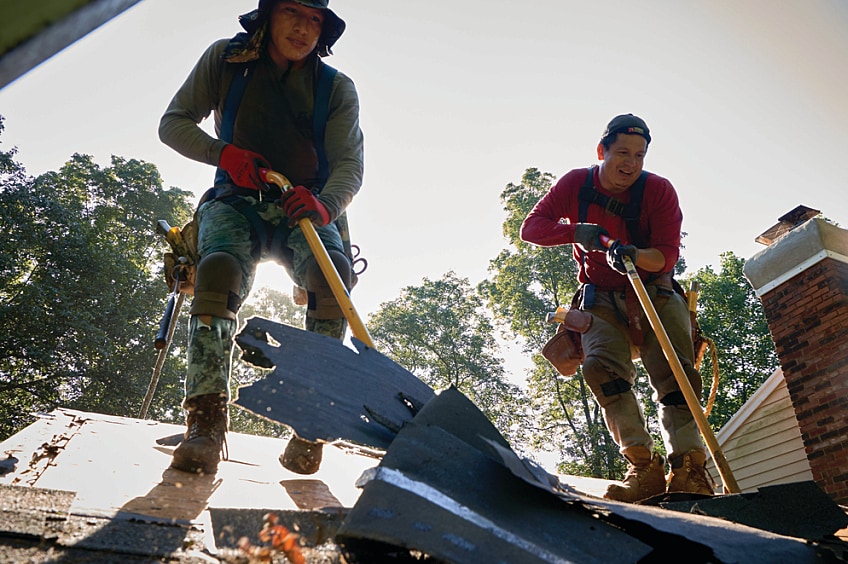 Contractors and tear off