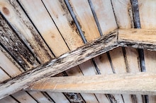 Dark mold dots interior attic wood rafters representing the signs of poor ventilation