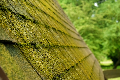 A moss-covered roof.
