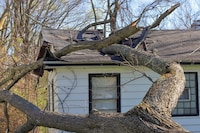 A house damaged by a fallen tree.