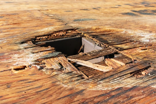 A close-up of wood damage.