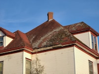 Mold growing on a roof.