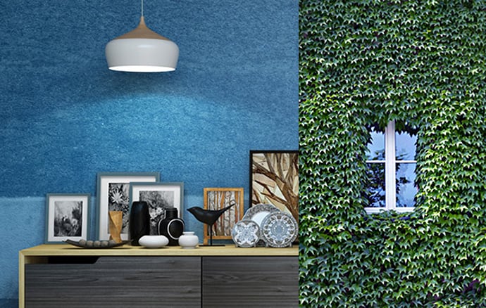 A table in front of a blue wall next to an ivy covered wall