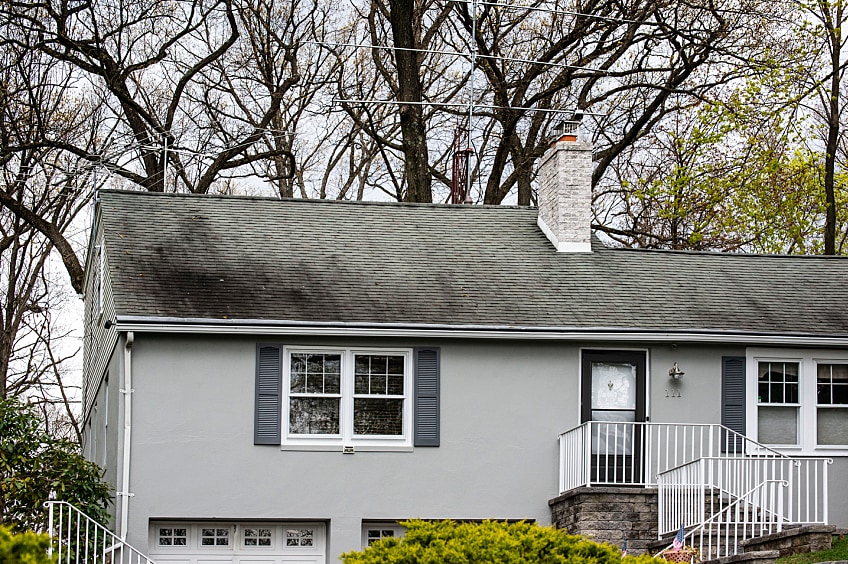 Roof shingles showing dark discoloration.