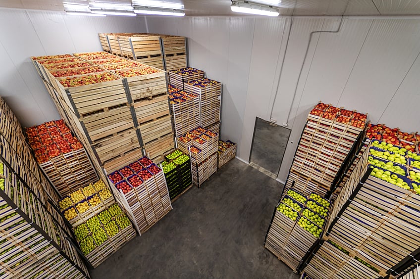 Apples and pears in crates ready for shipping. Cold storage interior.