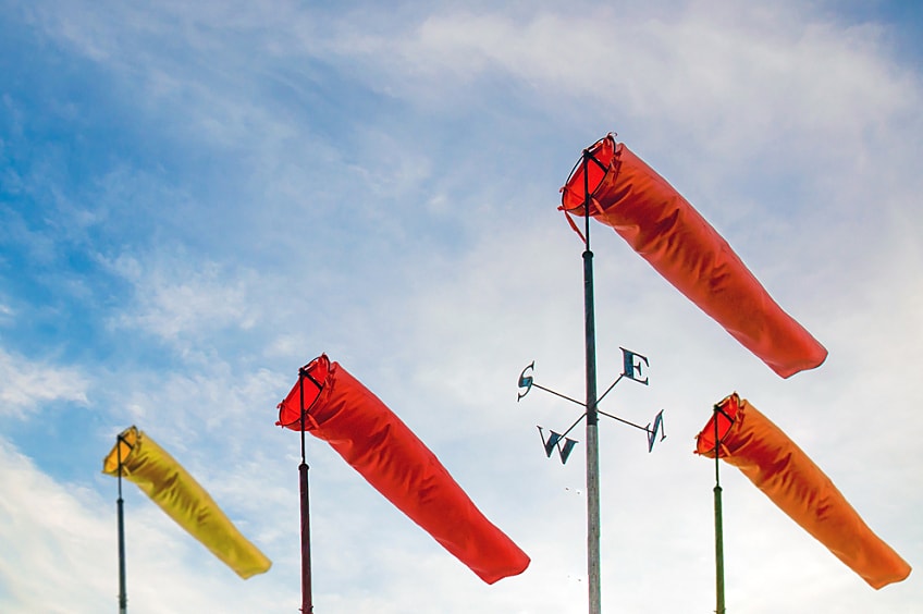 Wind sock on a windy day with bird flying in background