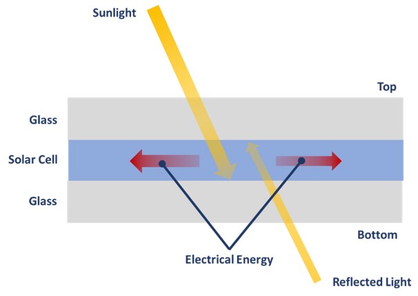 bifacial absorption bifacial absorption