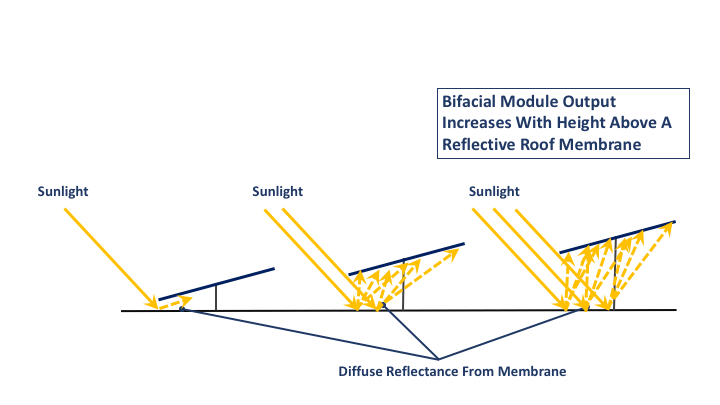 bifacial module Bifacial Module
