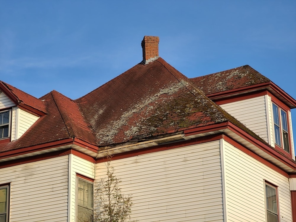 Mold growing on a roof.